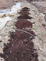 팜모닝 기타작물·영농일지 게시글 이미지