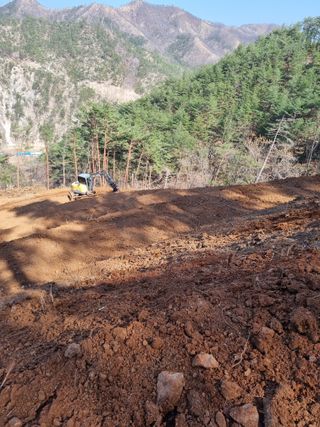 이찬암님의 기타작물 · 영농일지 작성글 사진