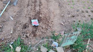 김영규님의 기타작물 · 영농일지 작성글 사진