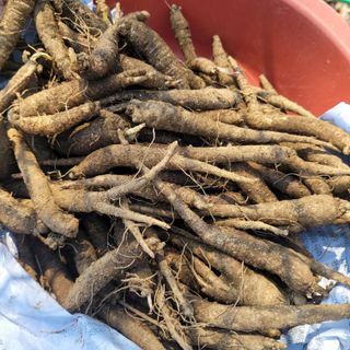 이창화님의 기타작물 · 영농일지 작성글 사진