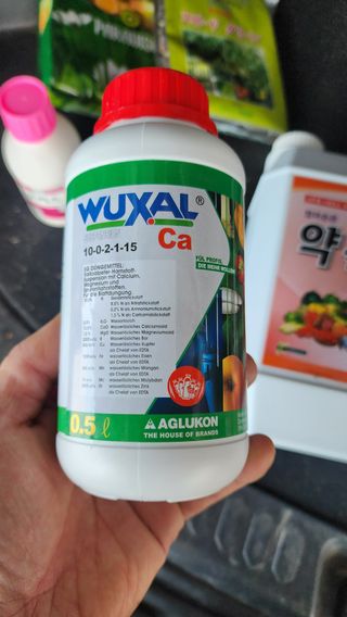 준우아빠님의 오이 · 영농일지 작성글 사진