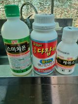 팜모닝 기타작물·영농일지 게시글 이미지