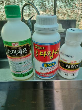 일등병님의 기타작물 · 영농일지 작성글 사진