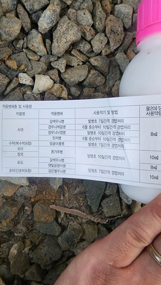 준우아빠님의 오이 · 영농일지 작성글 사진