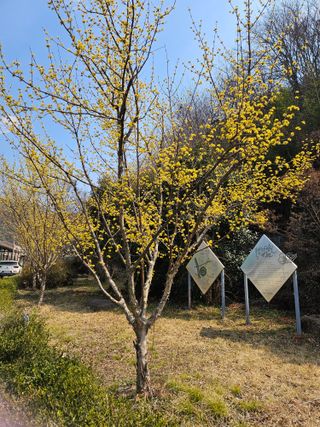 이수현님의 기타작물 · 영농일지 작성글 사진