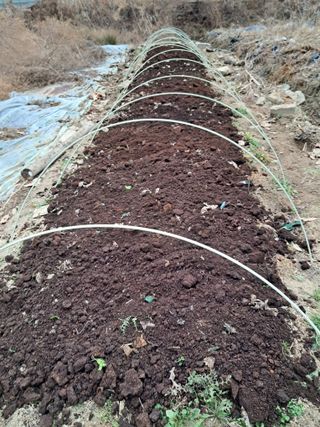 울산연안님의 기타작물 · 영농일지 작성글 사진