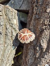 팜모닝 기타작물·영농일지 게시글 이미지