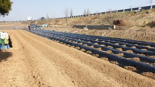 수성농민님의 기타작물 · 영농일지 작성글 사진