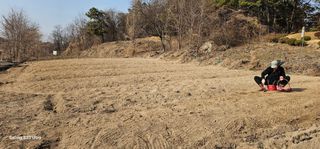 탁철남님의 두릅 · 영농일지 작성글 사진