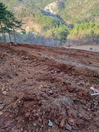 이찬암님의 기타작물 · 영농일지 작성글 사진