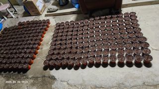 임상근님의 기타작물 · 영농일지 작성글 사진