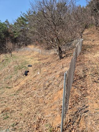 팜모닝회원류한배님의 기타작물 · 영농일지 작성글 사진