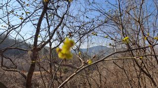 월굴리이승재님의 기타작물 · 영농일지 작성글 사진