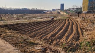김영규님의 기타작물 · 영농일지 작성글 사진