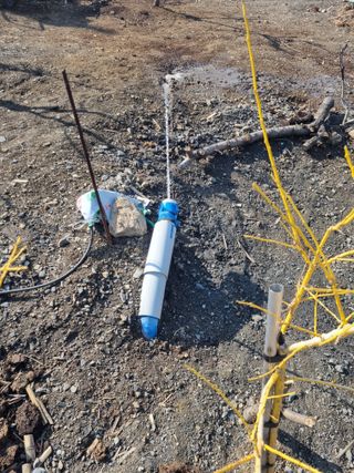 김용대님의 기타작물 · 영농일지 작성글 사진