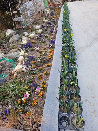 이수현님의 기타작물 · 영농일지 작성글 사진