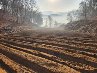 산약초농원님의 기타작물 · 영농일지 작성글 사진