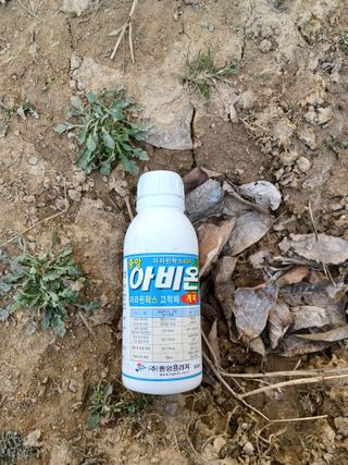 우분투농장님의 기타작물 · 영농일지 작성글 사진