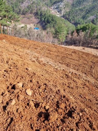 이찬암님의 기타작물 · 영농일지 작성글 사진