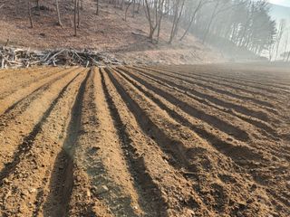산약초농원님의 기타작물 · 영농일지 작성글 사진