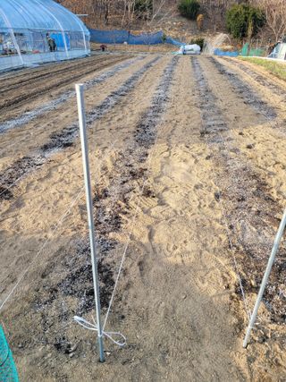 민원배님의 감자 · 영농일지 작성글 사진