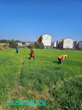 제주 지안이네농장님의 기타작물 · 영농일지 작성글 사진