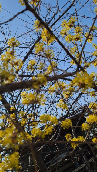 허종복님의 기타작물 · 영농일지 작성글 사진