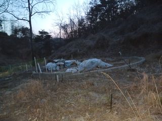 골탄님의 기타작물 · 영농일지 작성글 사진