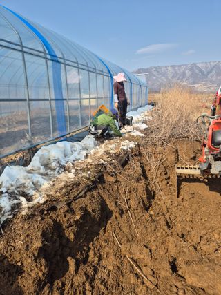 병풍취산채농원님의 기타작물 · 영농일지 작성글 사진