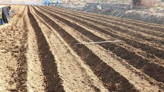 수성농민님의 기타작물 · 영농일지 작성글 사진