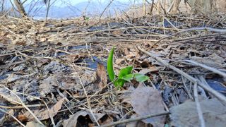 월굴리이승재님의 기타작물 · 영농일지 작성글 사진