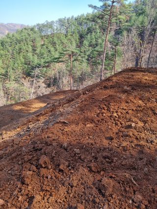 이찬암님의 기타작물 · 영농일지 작성글 사진