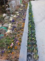 팜모닝 기타작물·영농일지 게시글 이미지