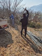 팜모닝 기타작물·영농일지 게시글 이미지