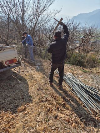 팜모닝회원류한배님의 기타작물 · 영농일지 작성글 사진