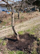 팜모닝 감·영농일지 게시글 이미지