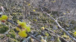 월굴리이승재님의 기타작물 · 영농일지 작성글 사진