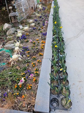 이수현님의 기타작물 · 영농일지 작성글 사진