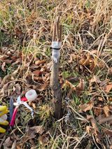 팜모닝 기타작물·영농일지 게시글 이미지