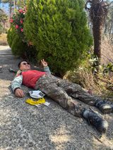 팜모닝 기타작물·영농일지 게시글 이미지