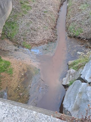 임호수님의 기타작물 · 영농일지 작성글 사진