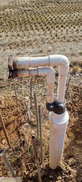 상촌농장 영가이버님의 기타작물 · 영농일지 작성글 사진