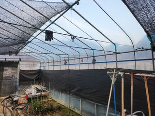 김진영님님의 기타작물 · 영농일지 작성글 사진