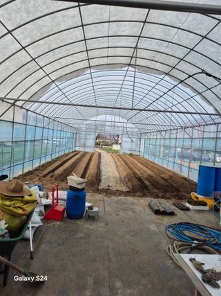 한양희님의 고추 · 영농일지 작성글 사진