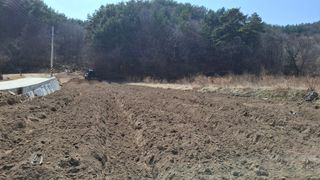 구선님의 기타작물 · 영농일지 작성글 사진