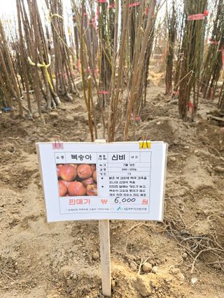 비타민님의 기타작물 · 영농일지 작성글 사진