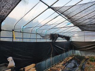 김진영님님의 기타작물 · 영농일지 작성글 사진