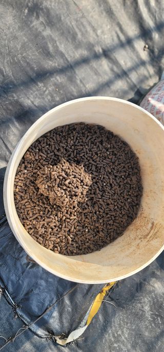 박종화님의 기타작물 · 영농일지 작성글 사진