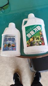 팜모닝 사과·영농일지 게시글 이미지