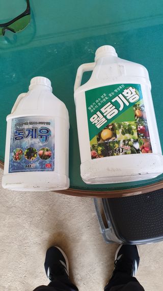 강영석님의 사과 · 영농일지 작성글 사진